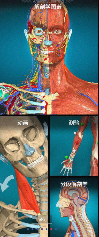 3D解剖学app实时探索6000+人体解剖结构